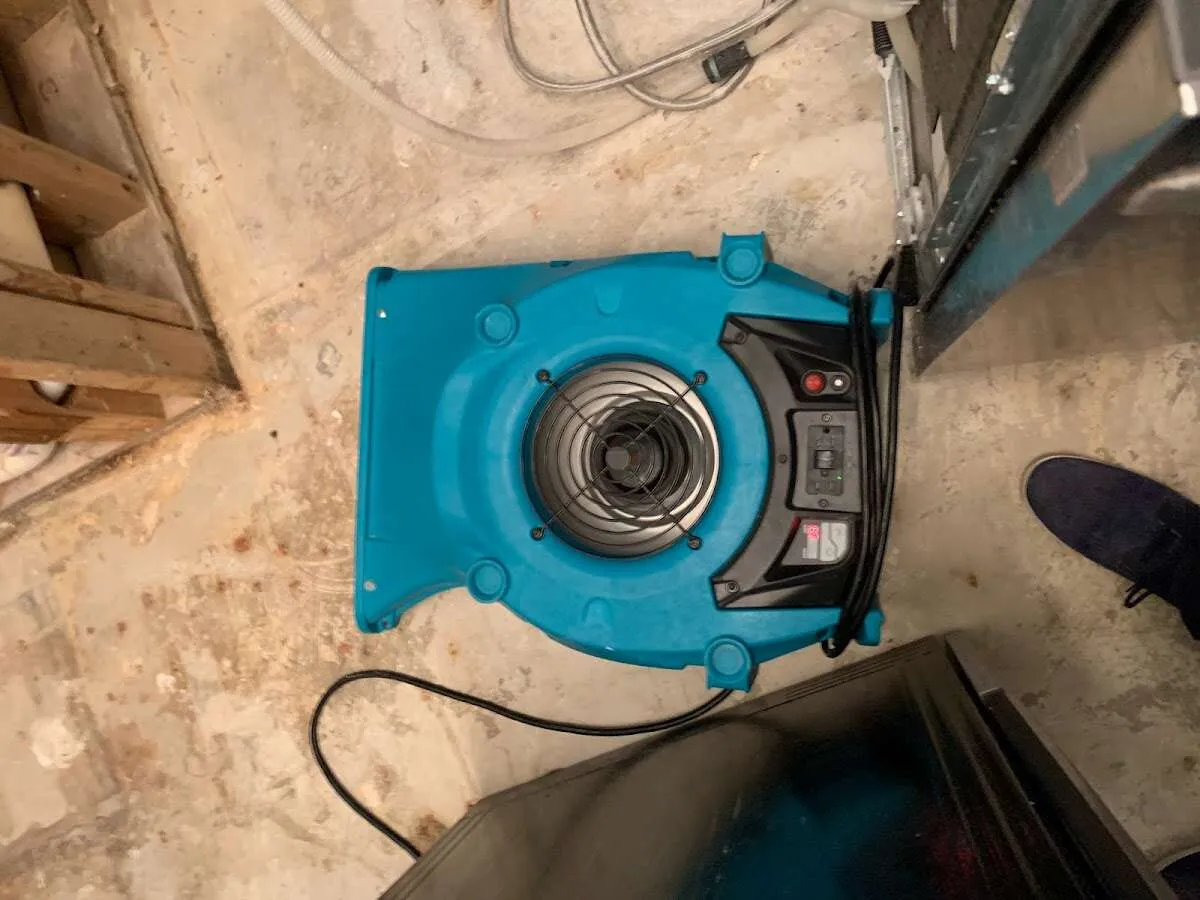 Air mover drying equipment for Mold Remediation & Removal in Issaquah