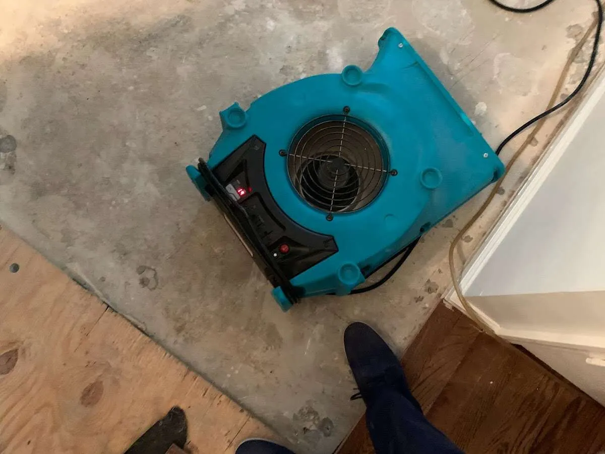 Air mover drying subfloor during Leak Detection & Repair in Issaquah